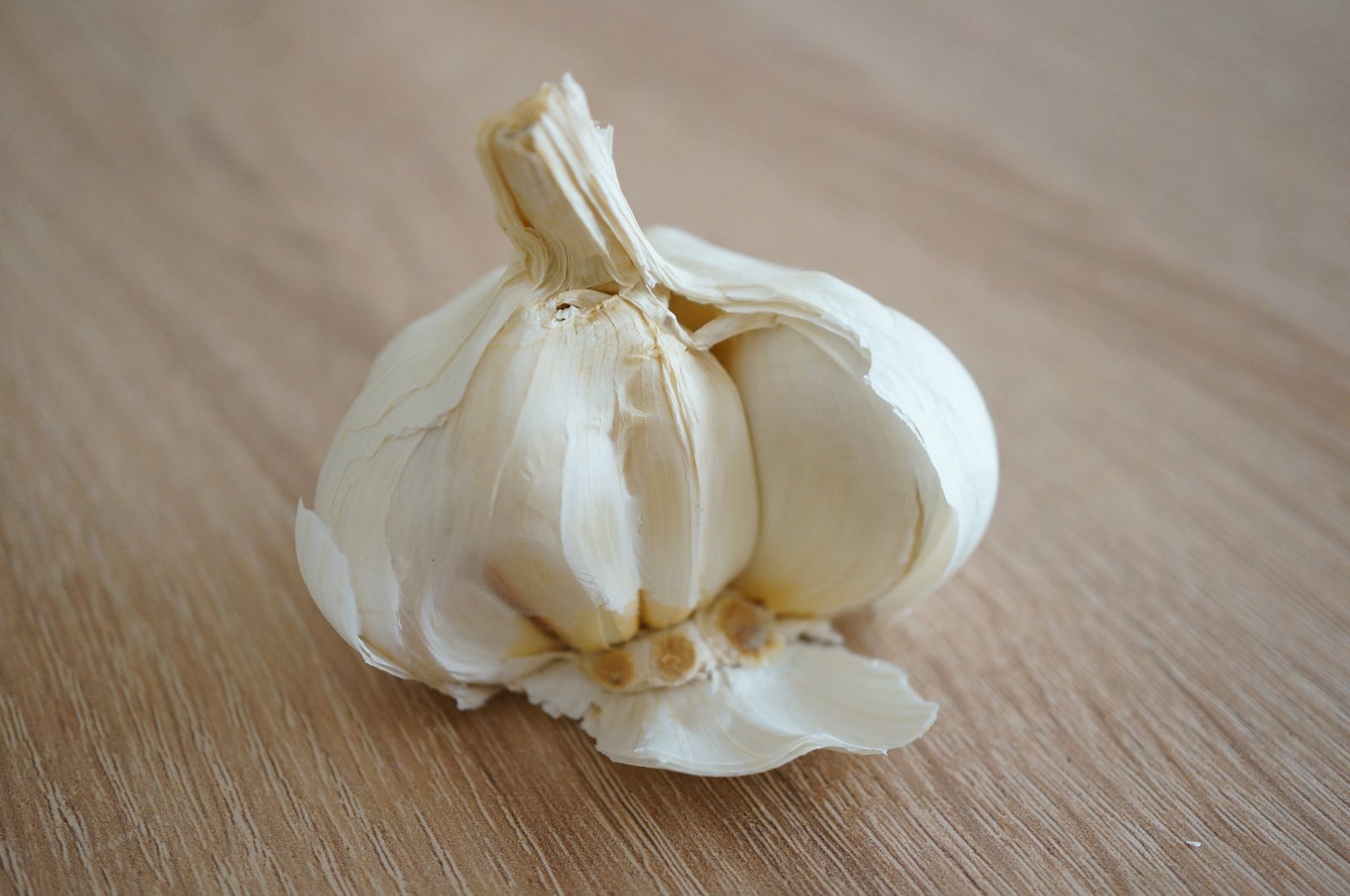 Bawang Putih